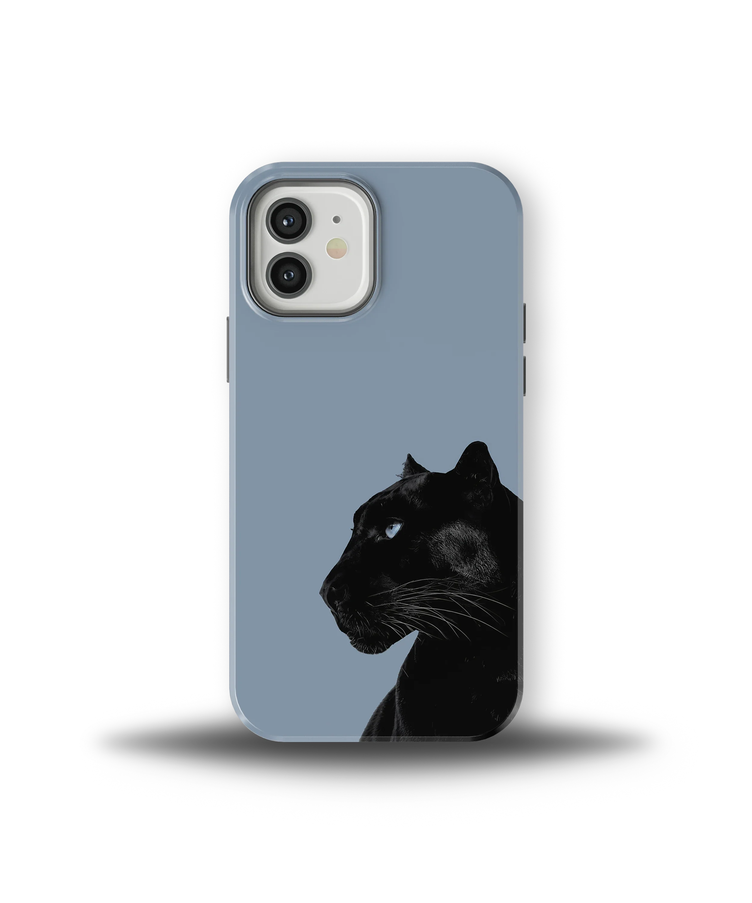 Shadow Panther — 23