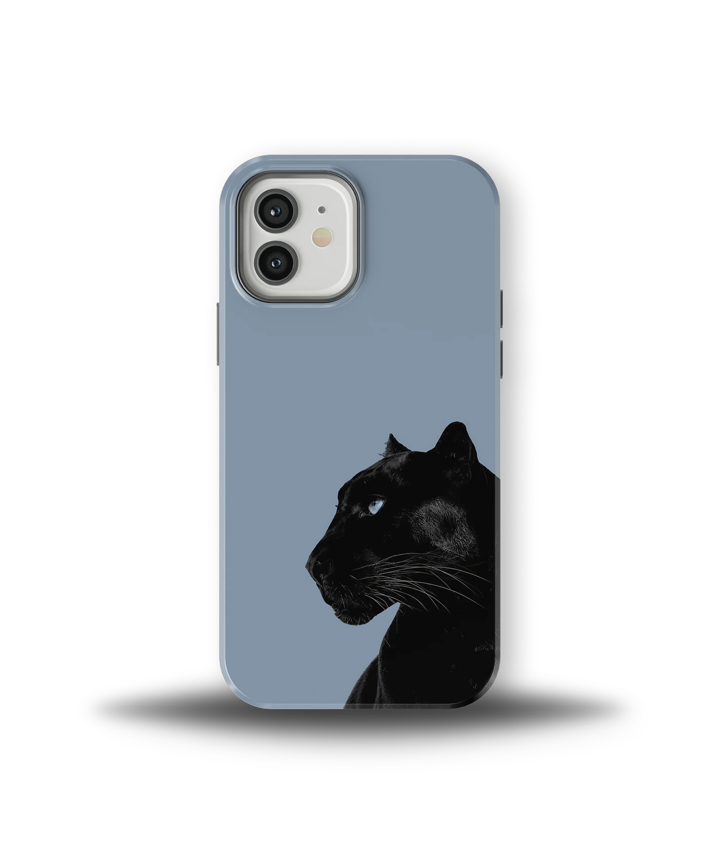 Shadow Panther — 23