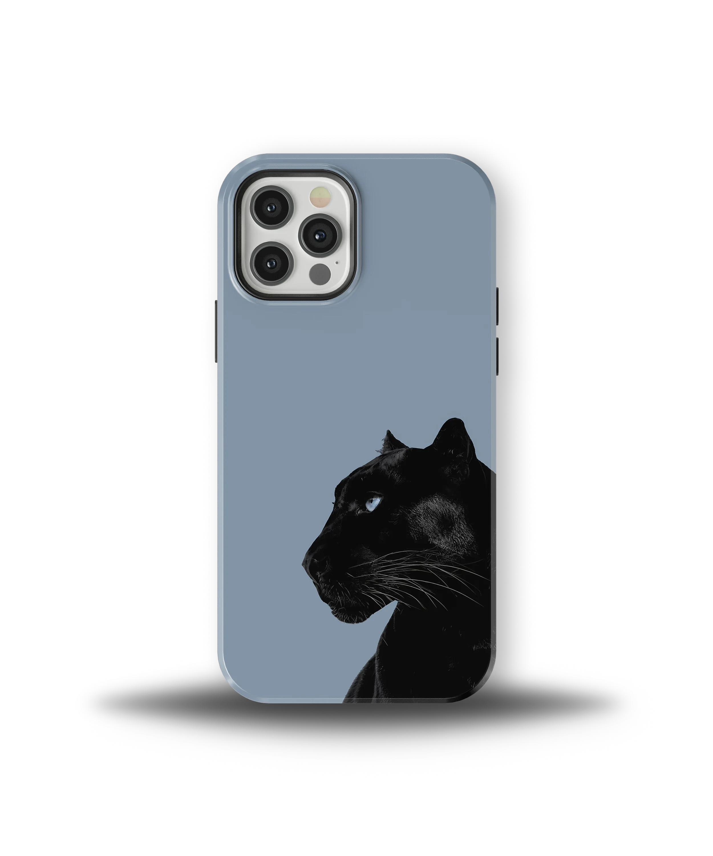 Shadow Panther — 22