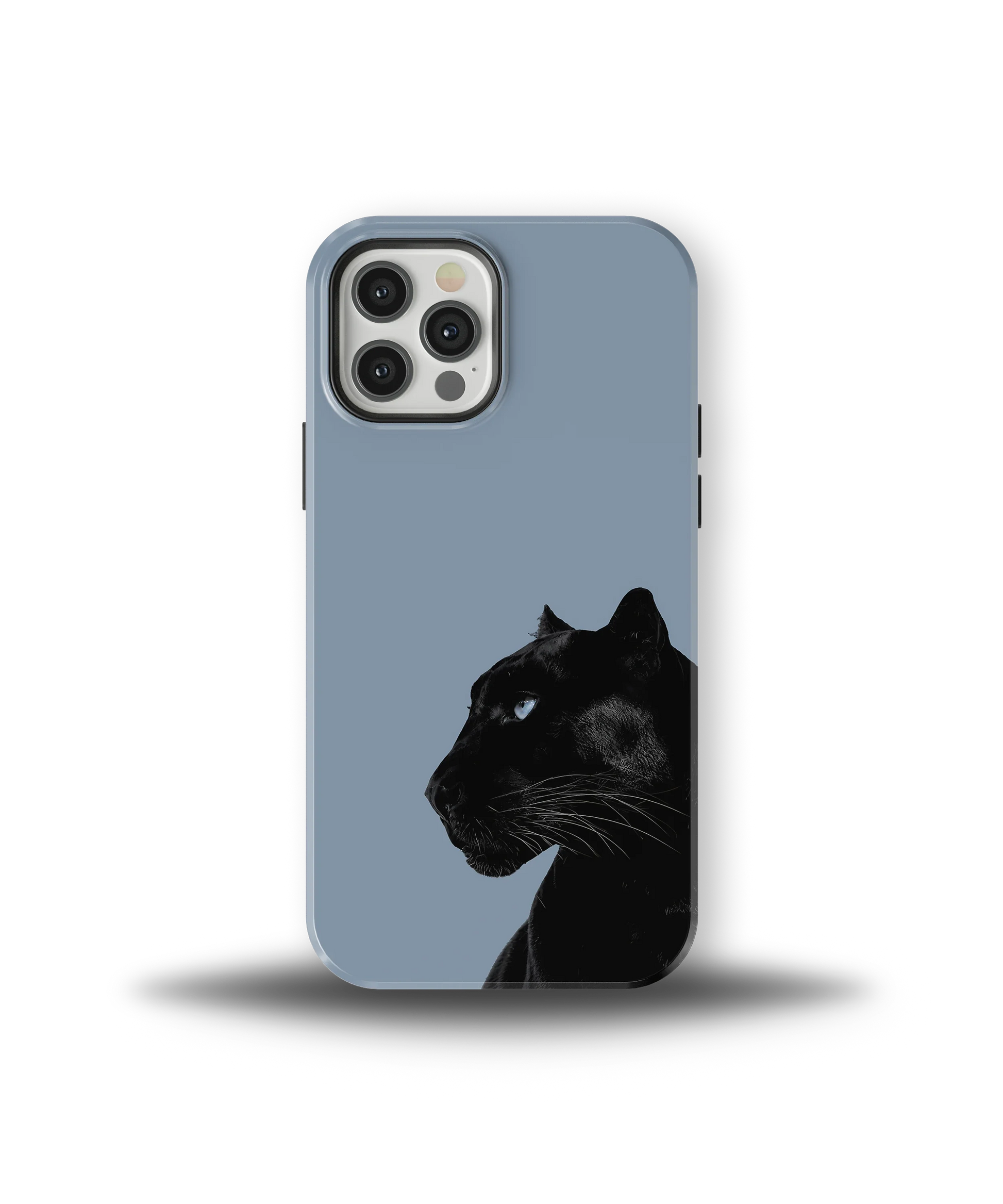 Shadow Panther — 22