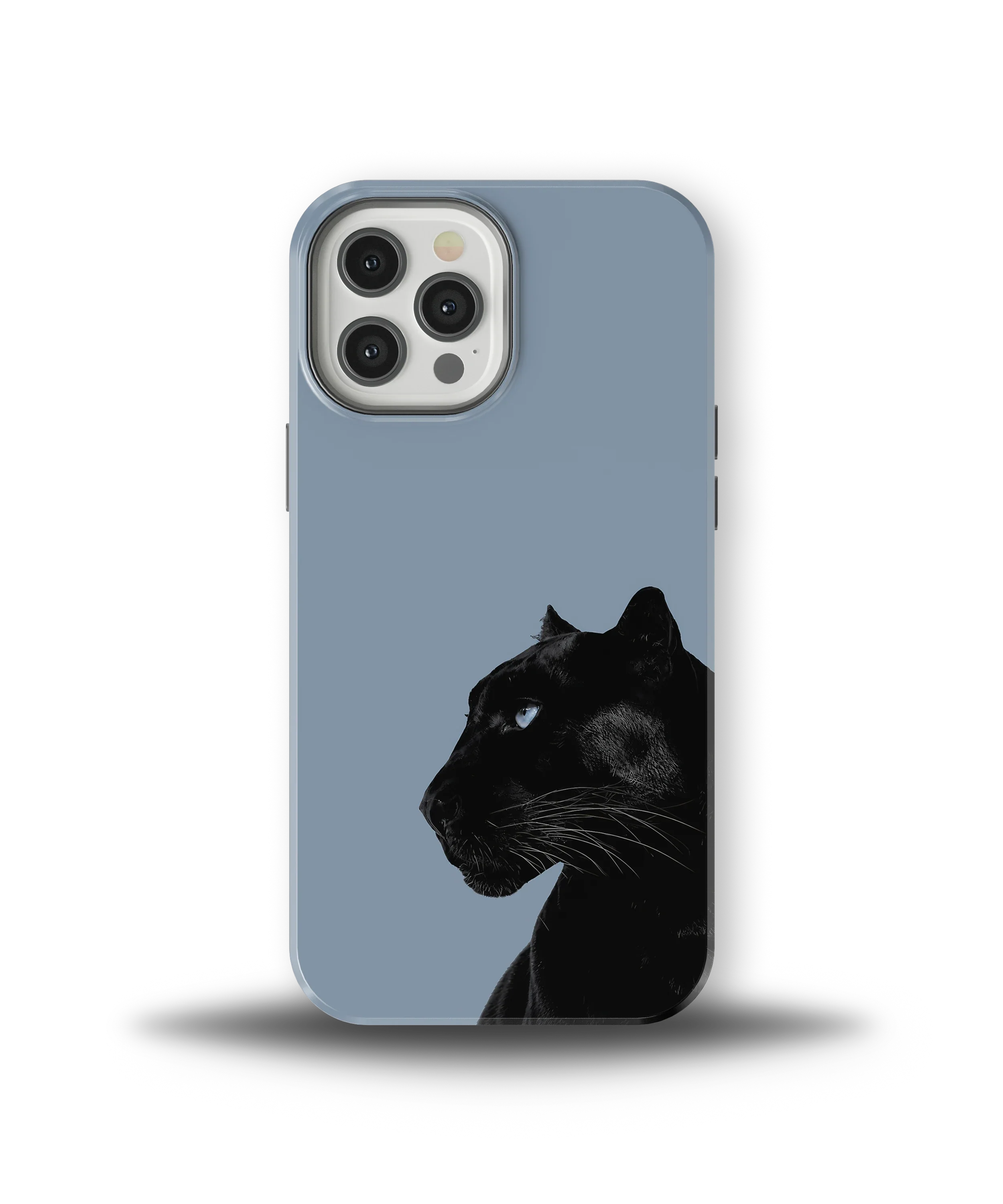 Shadow Panther — 21
