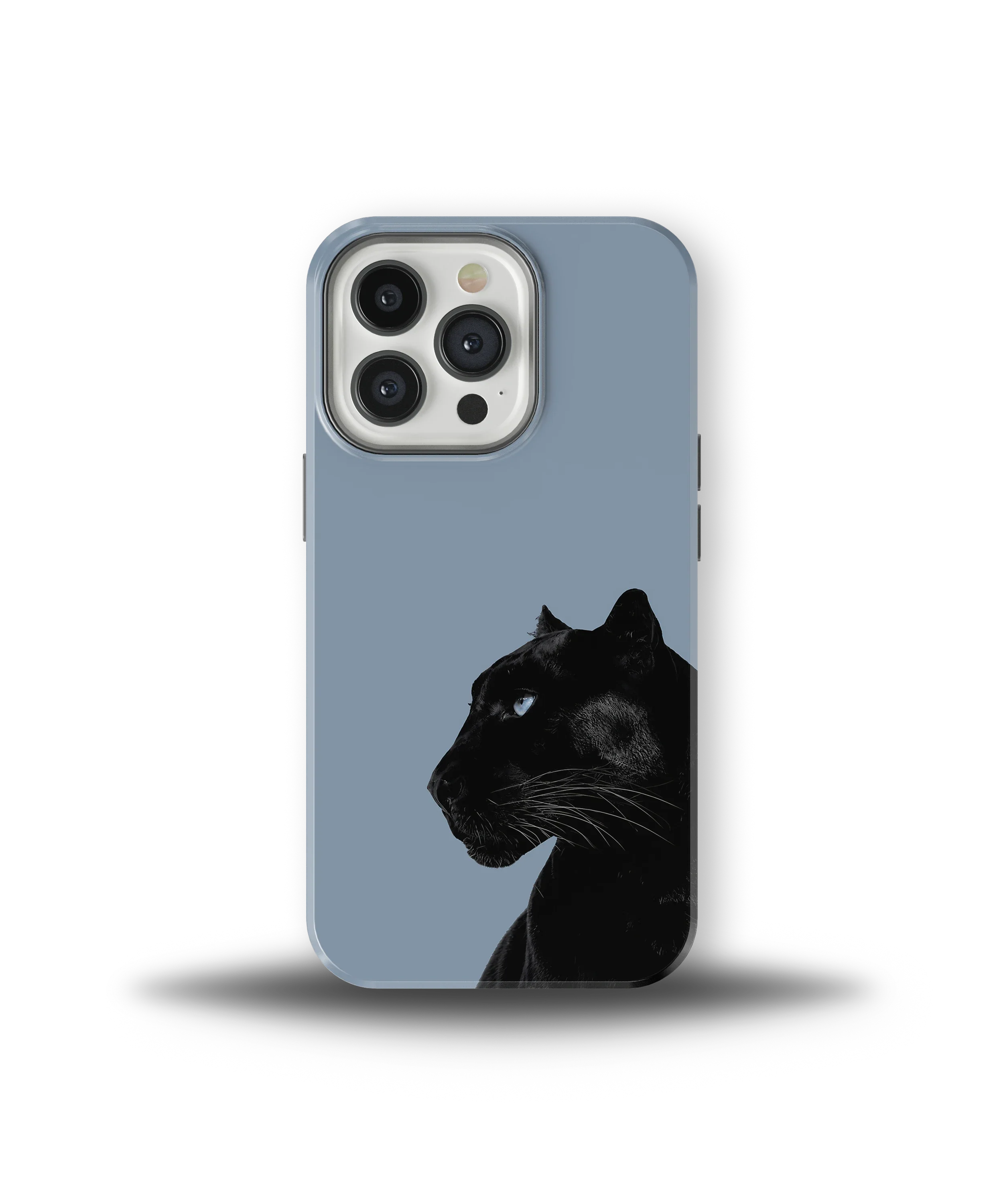 Shadow Panther — 18