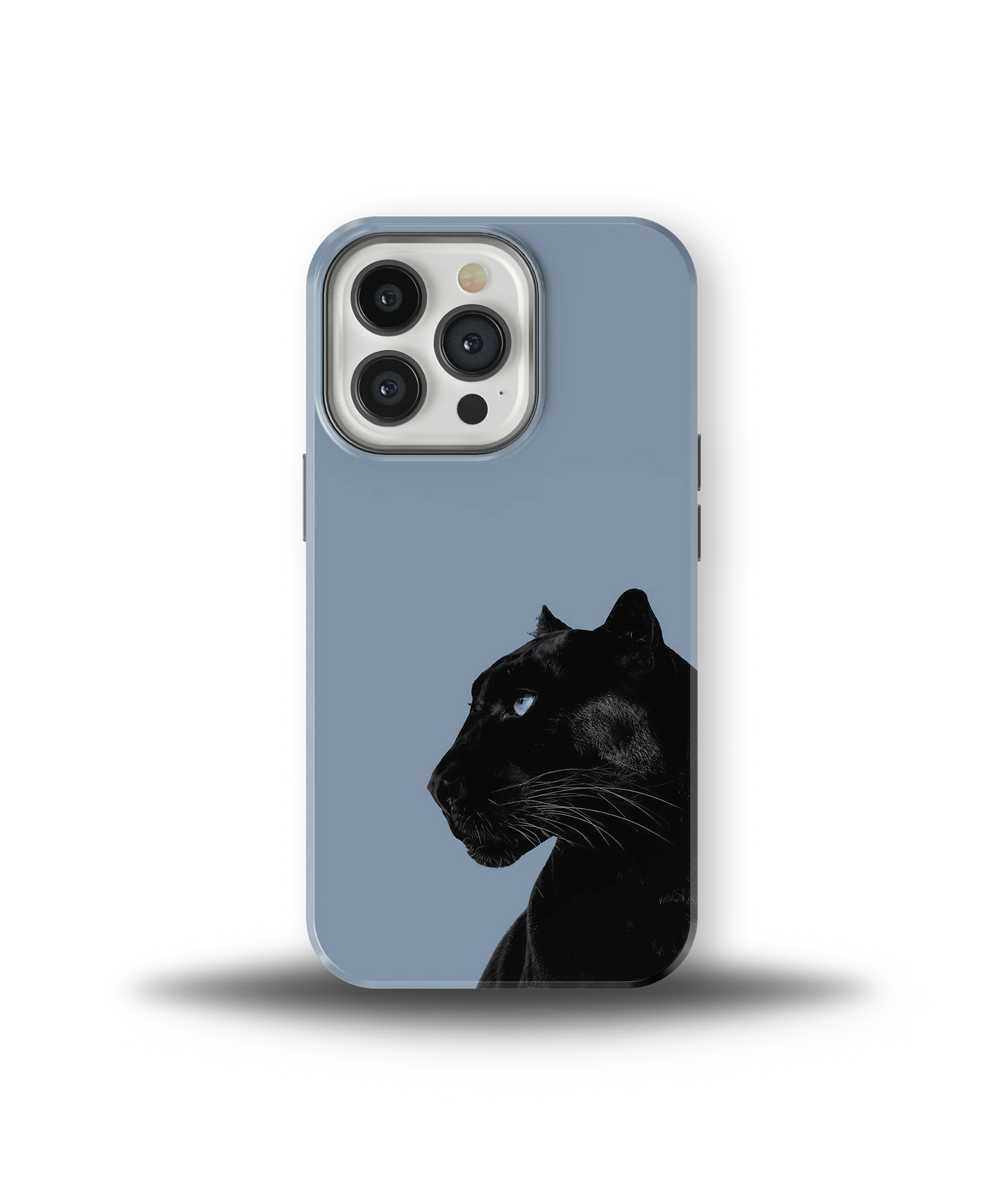 Shadow Panther — 18