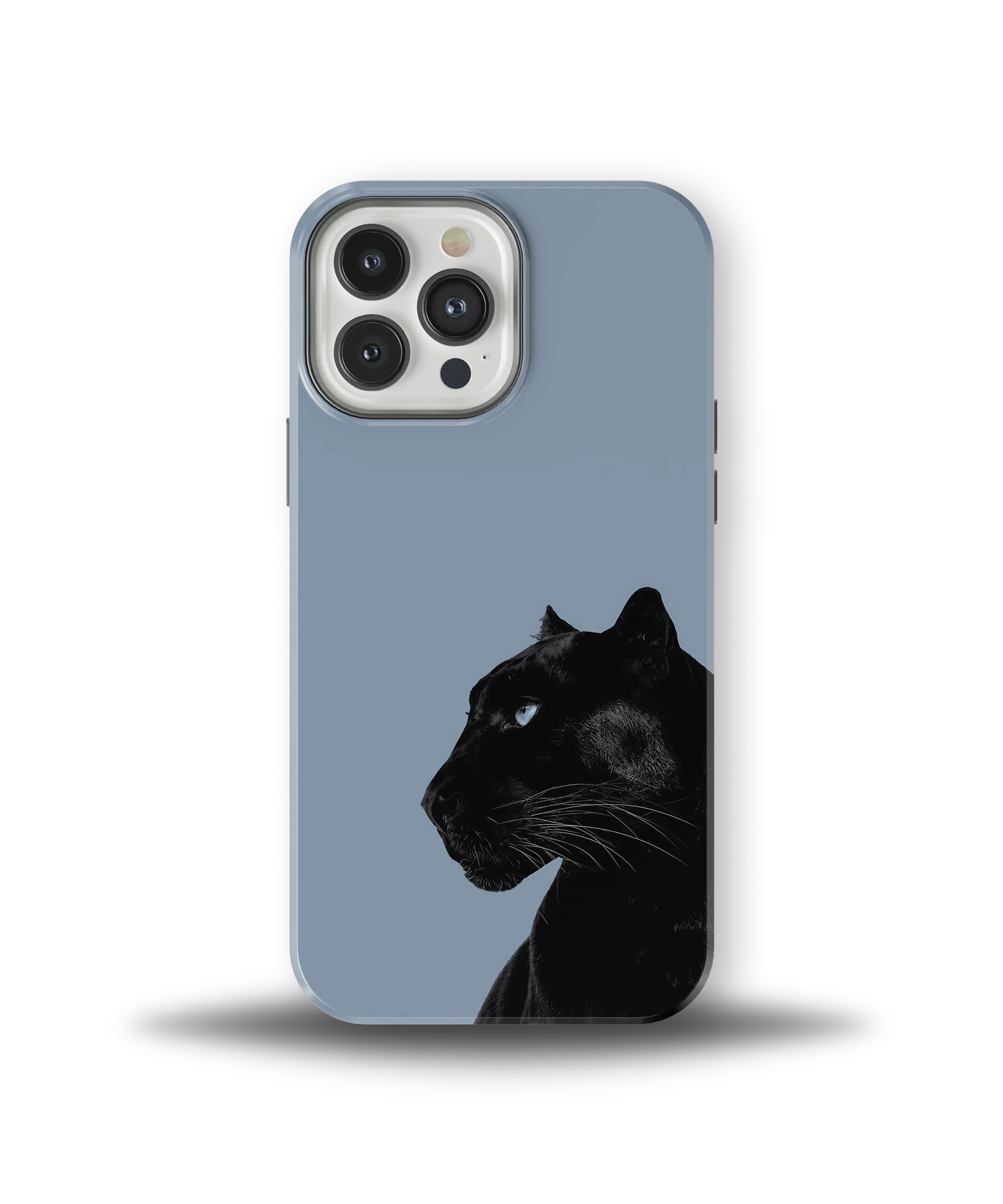 Shadow Panther — 17