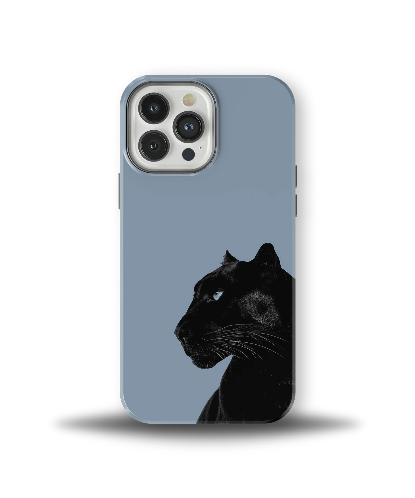 Shadow Panther — 17