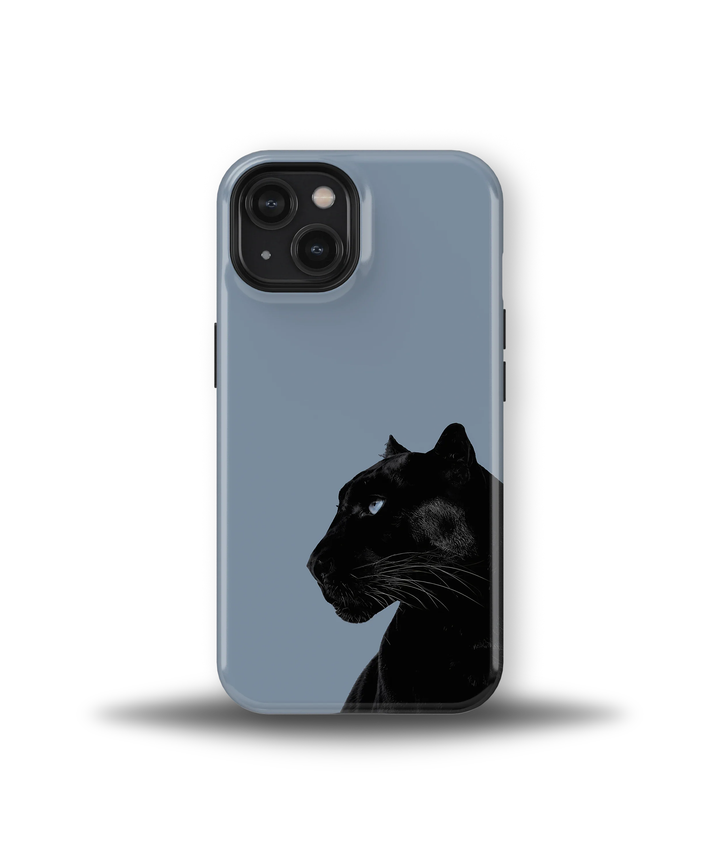 Shadow Panther — 16