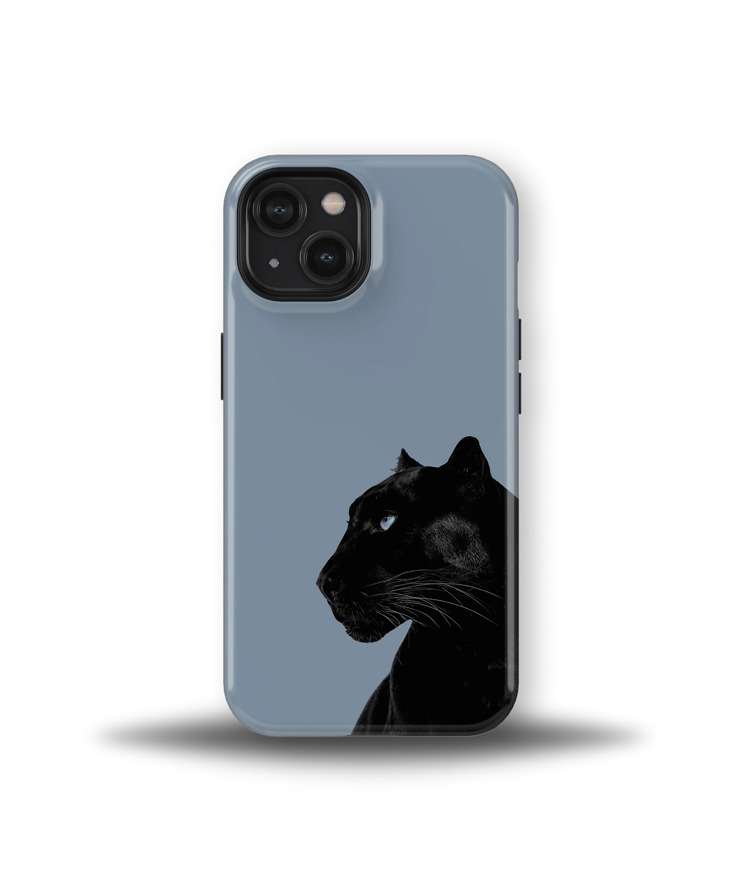 Shadow Panther — 16