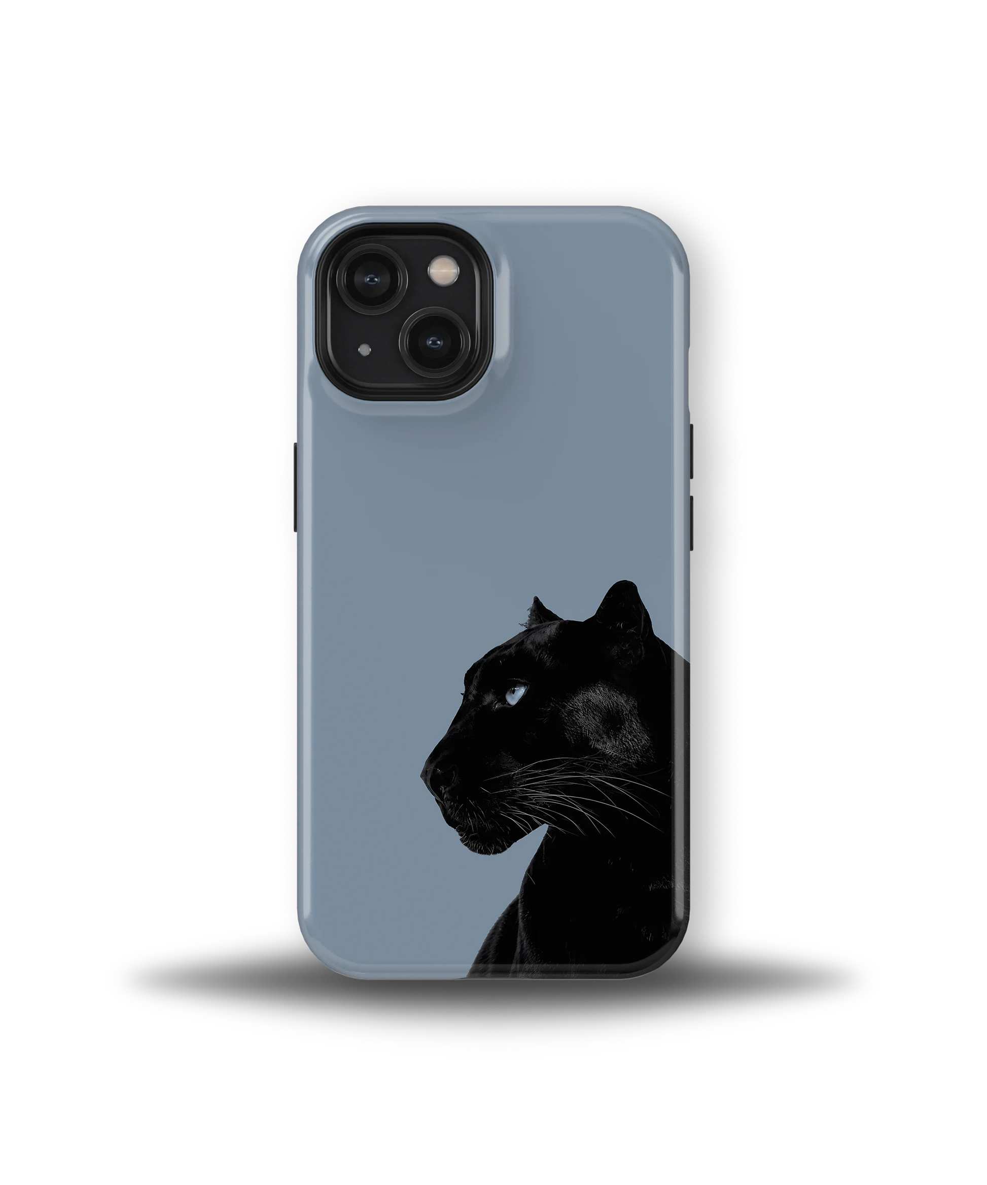 Shadow Panther — 16