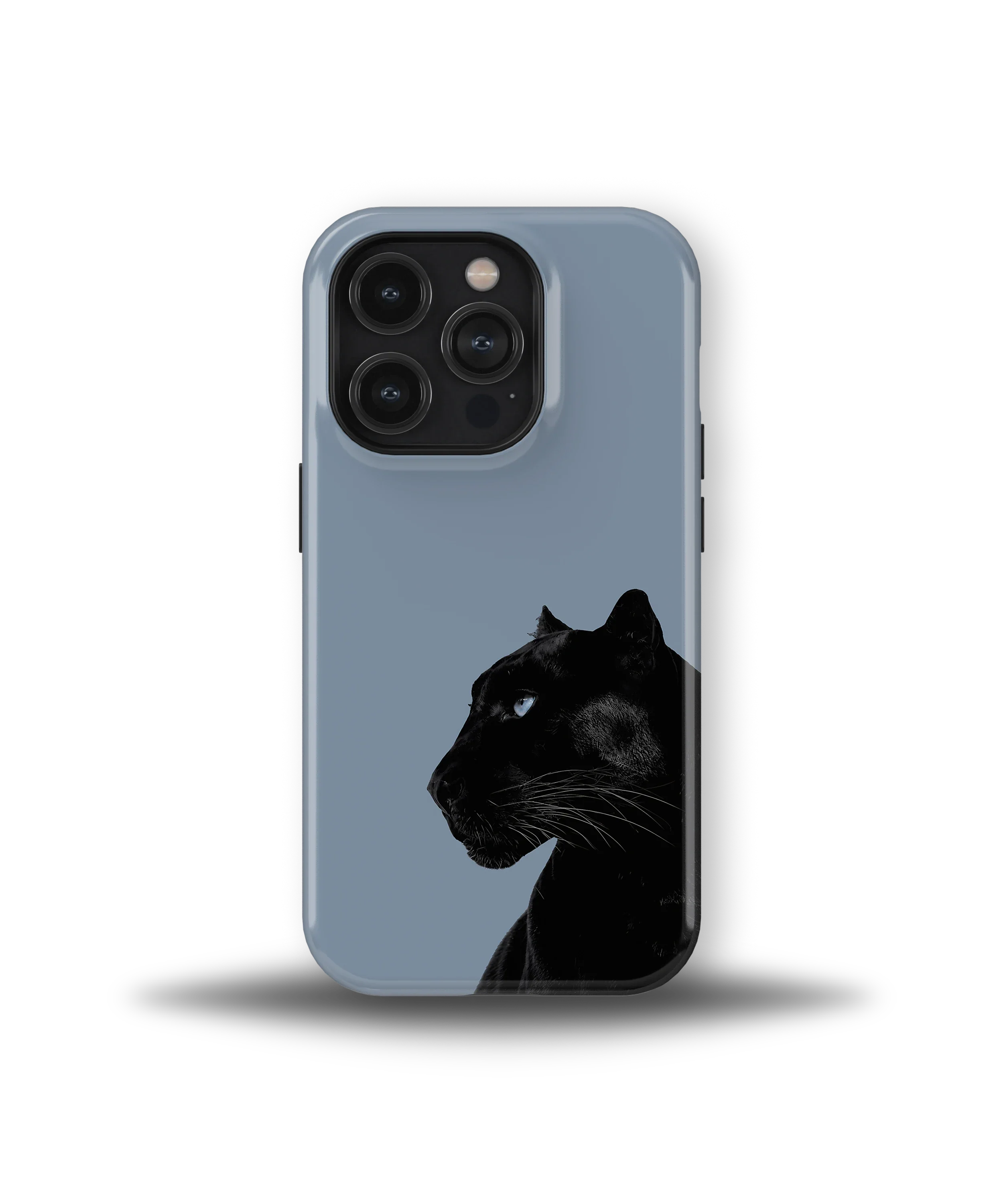 Shadow Panther — 14