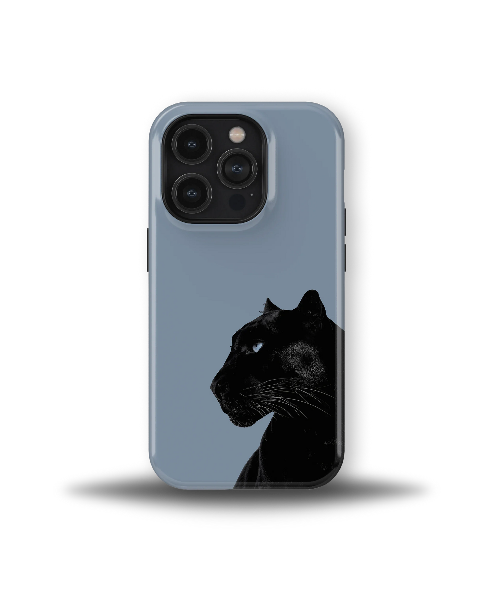 Shadow Panther — 14