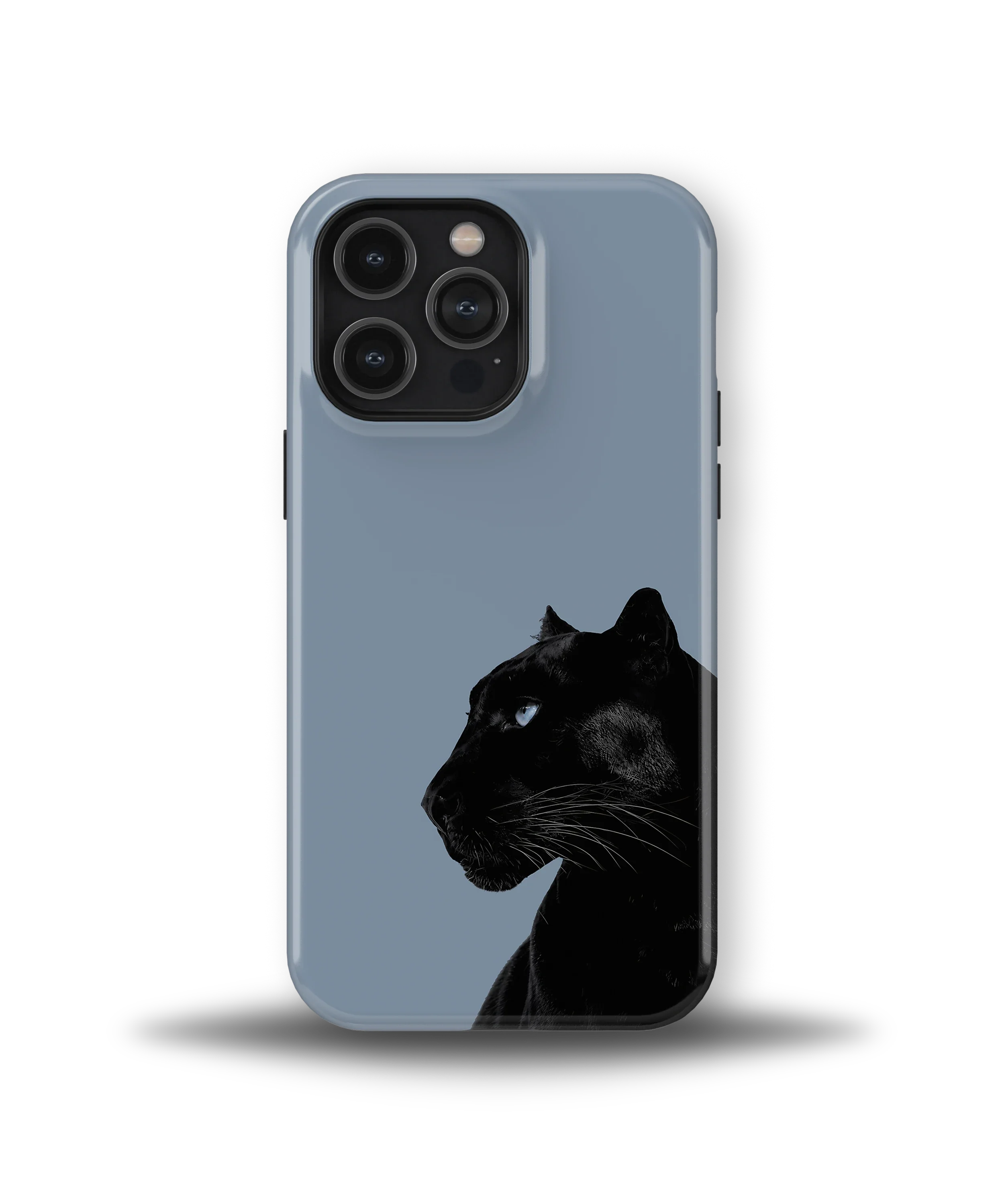 Shadow Panther — 13