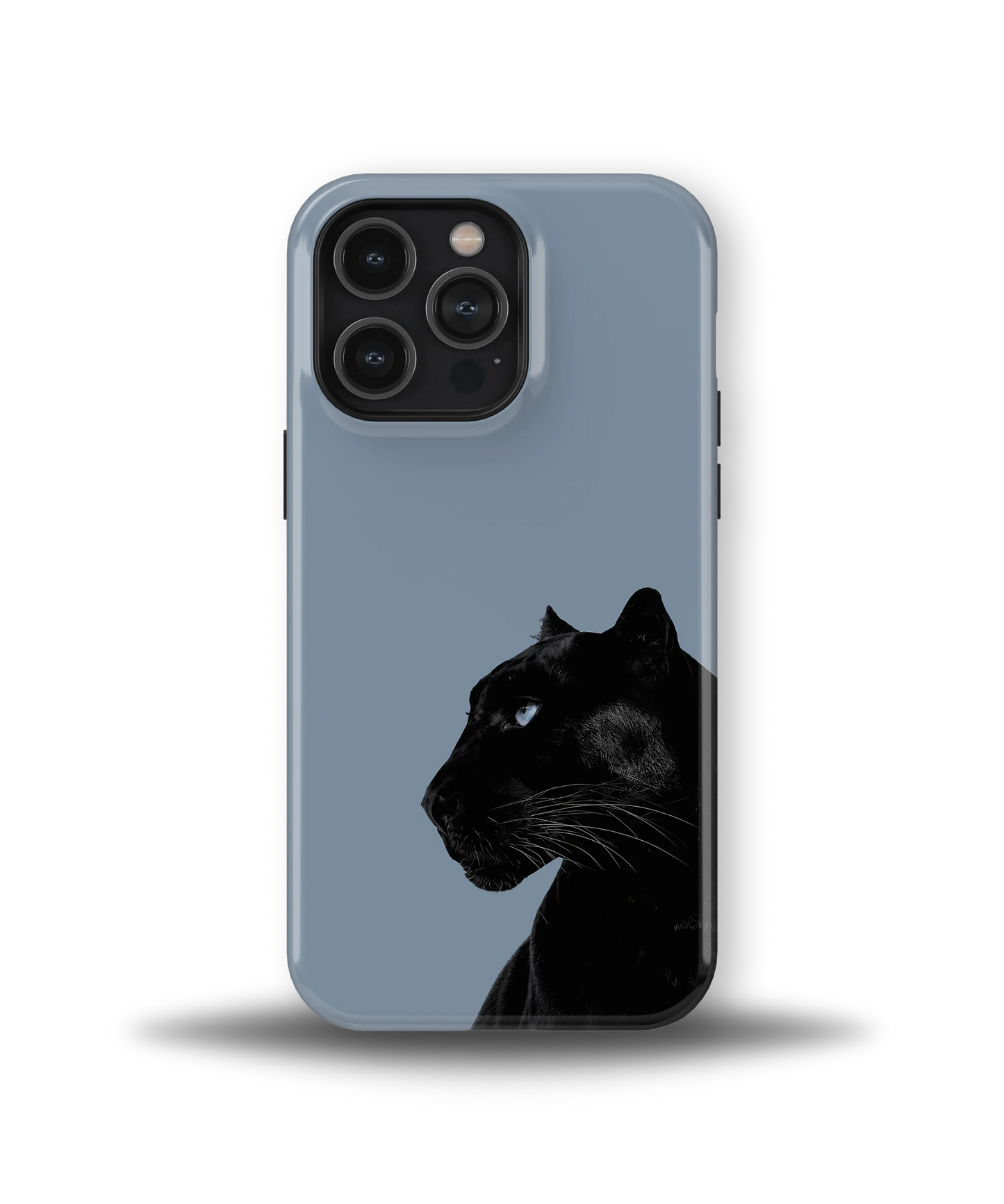 Shadow Panther — 13