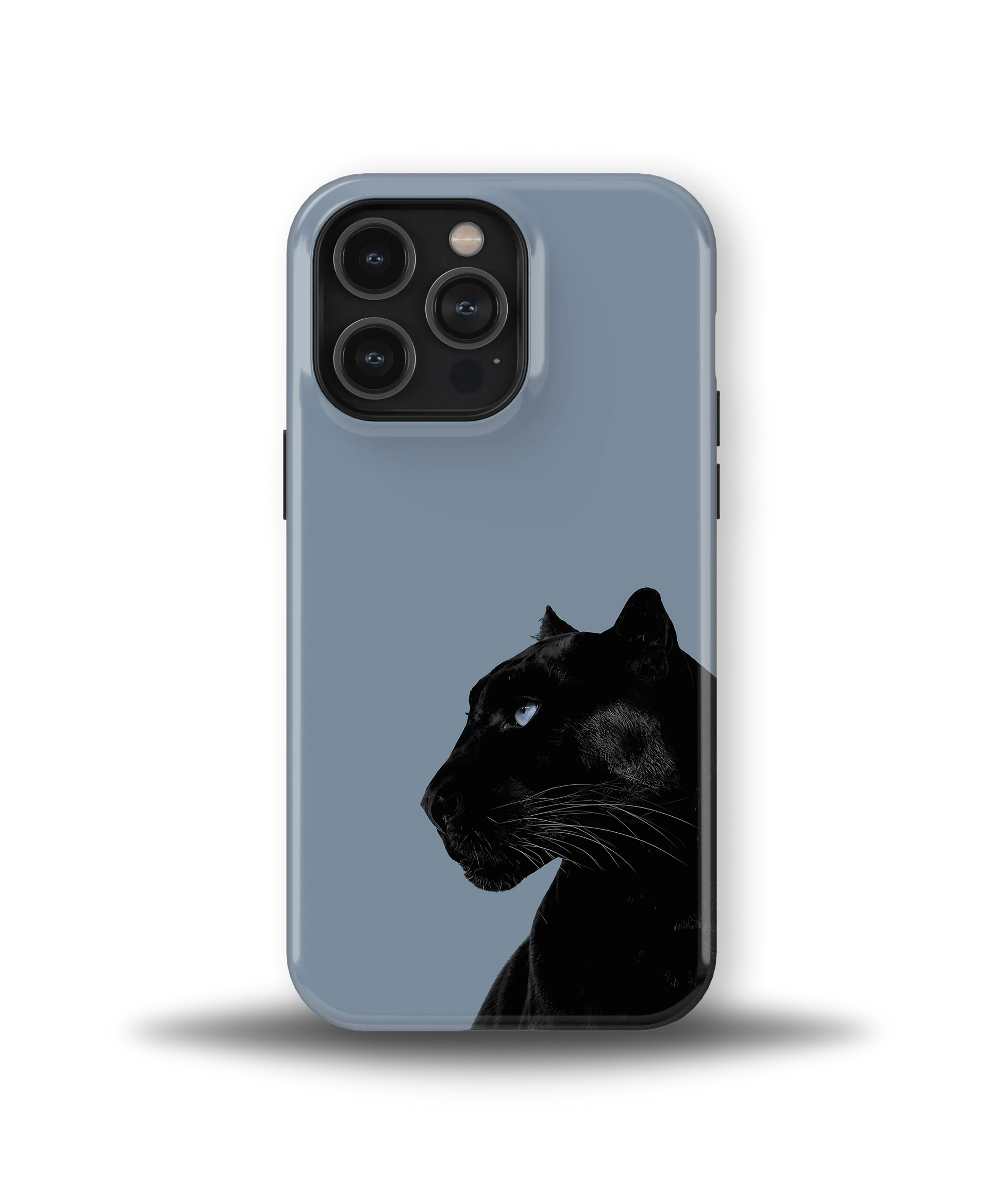Shadow Panther — 13
