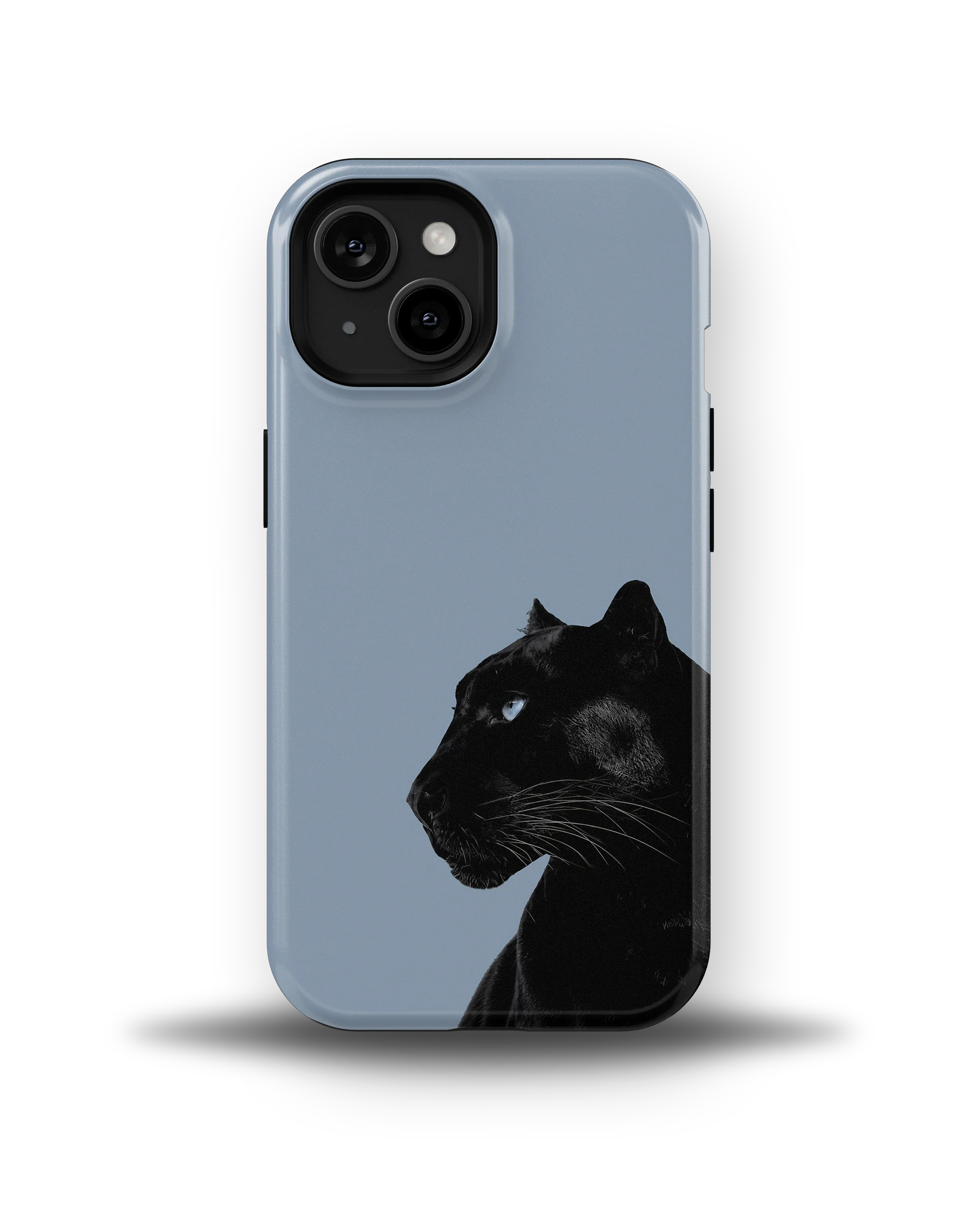 Shadow Panther — 12