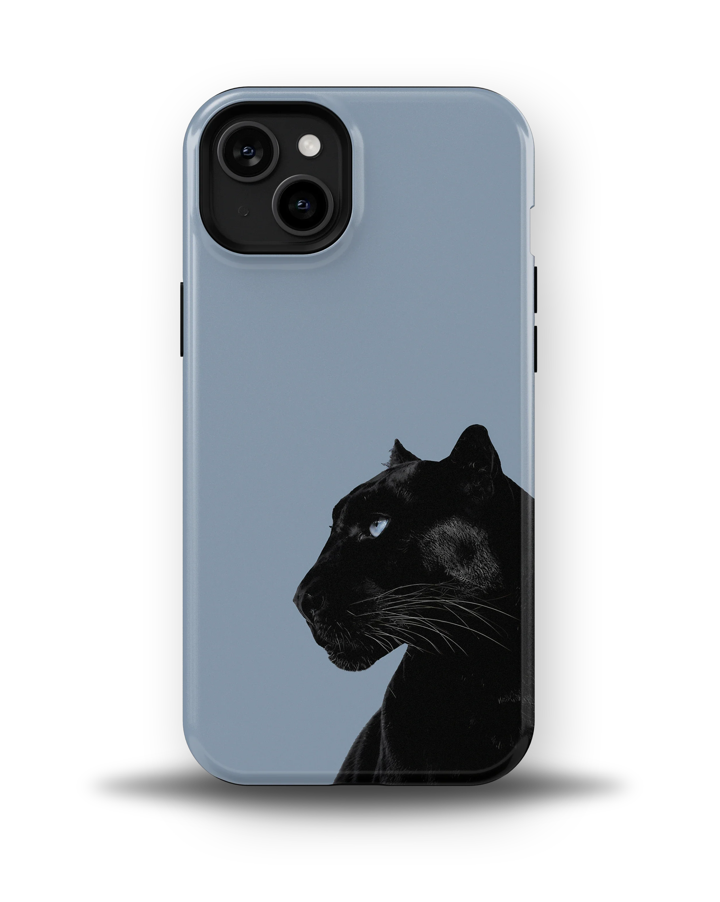 Shadow Panther — 11