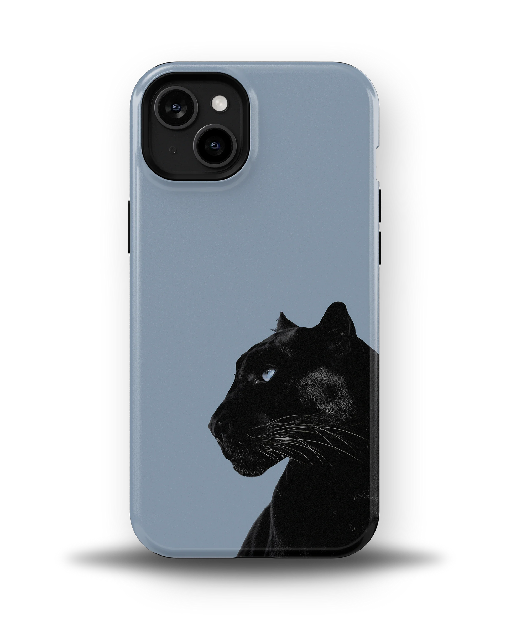 Shadow Panther — 11
