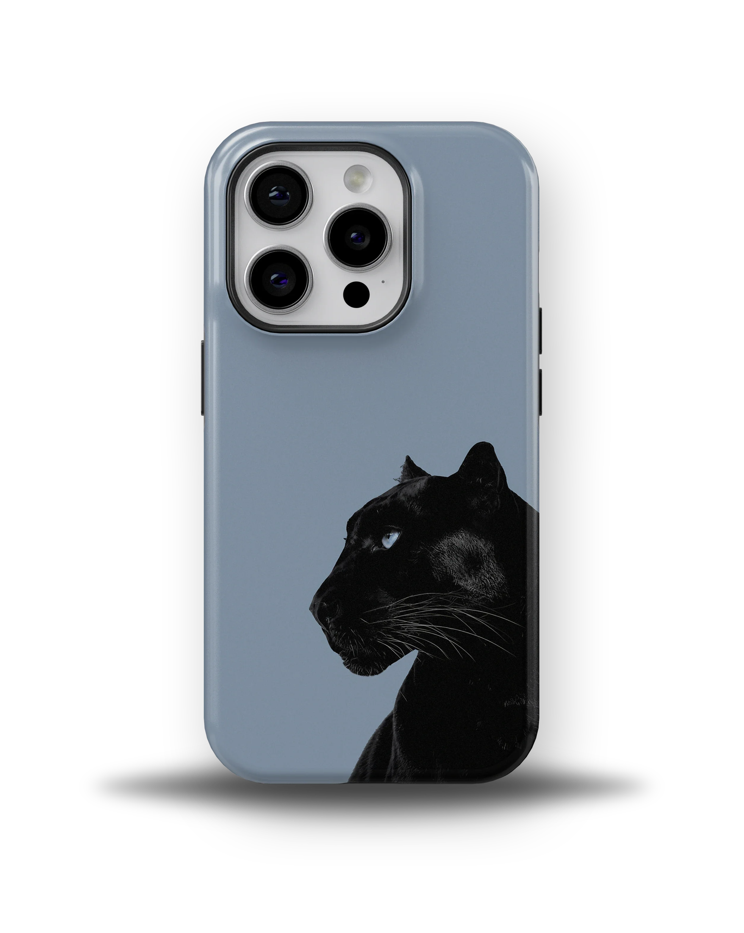 Shadow Panther — 10