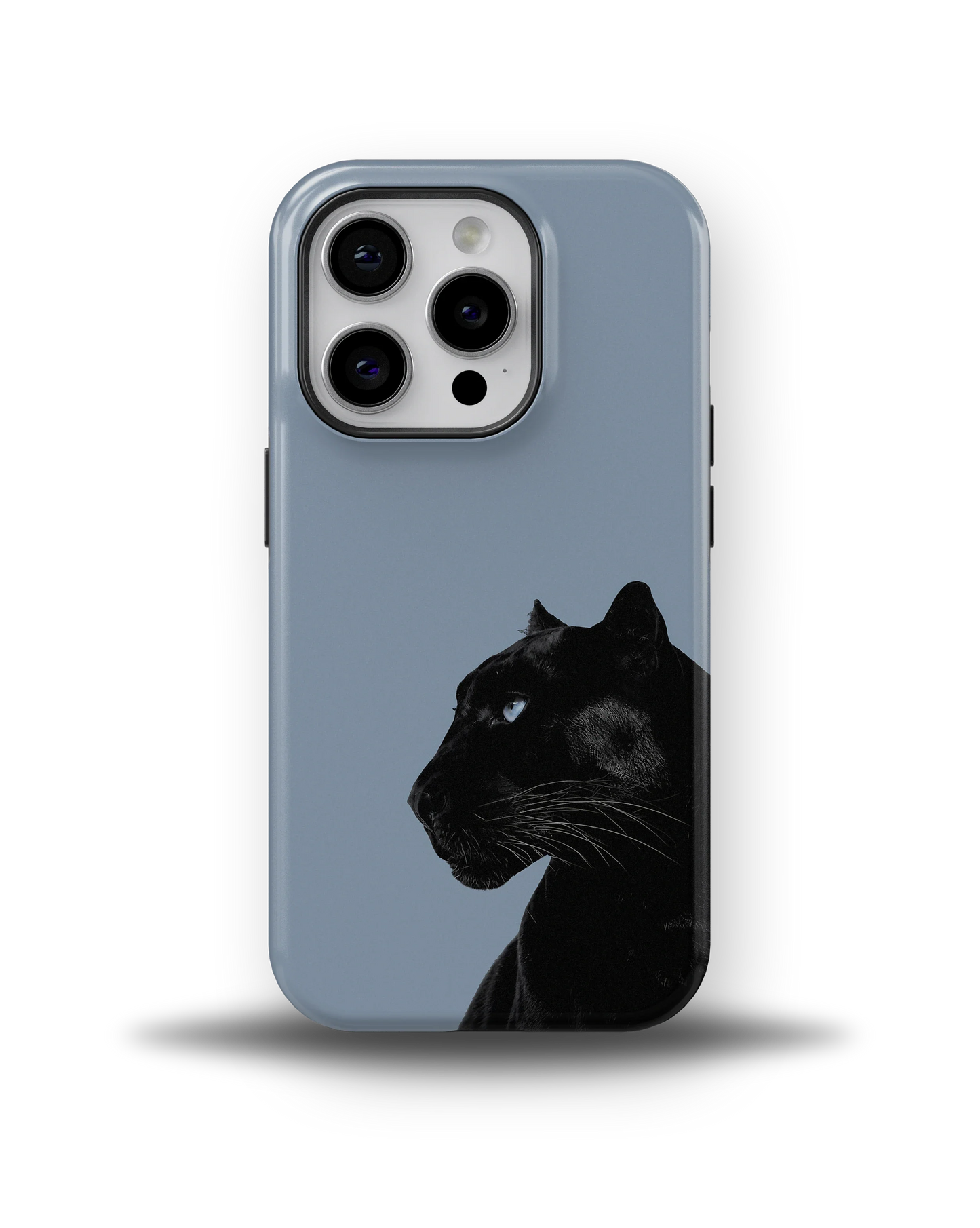 Shadow Panther — 10