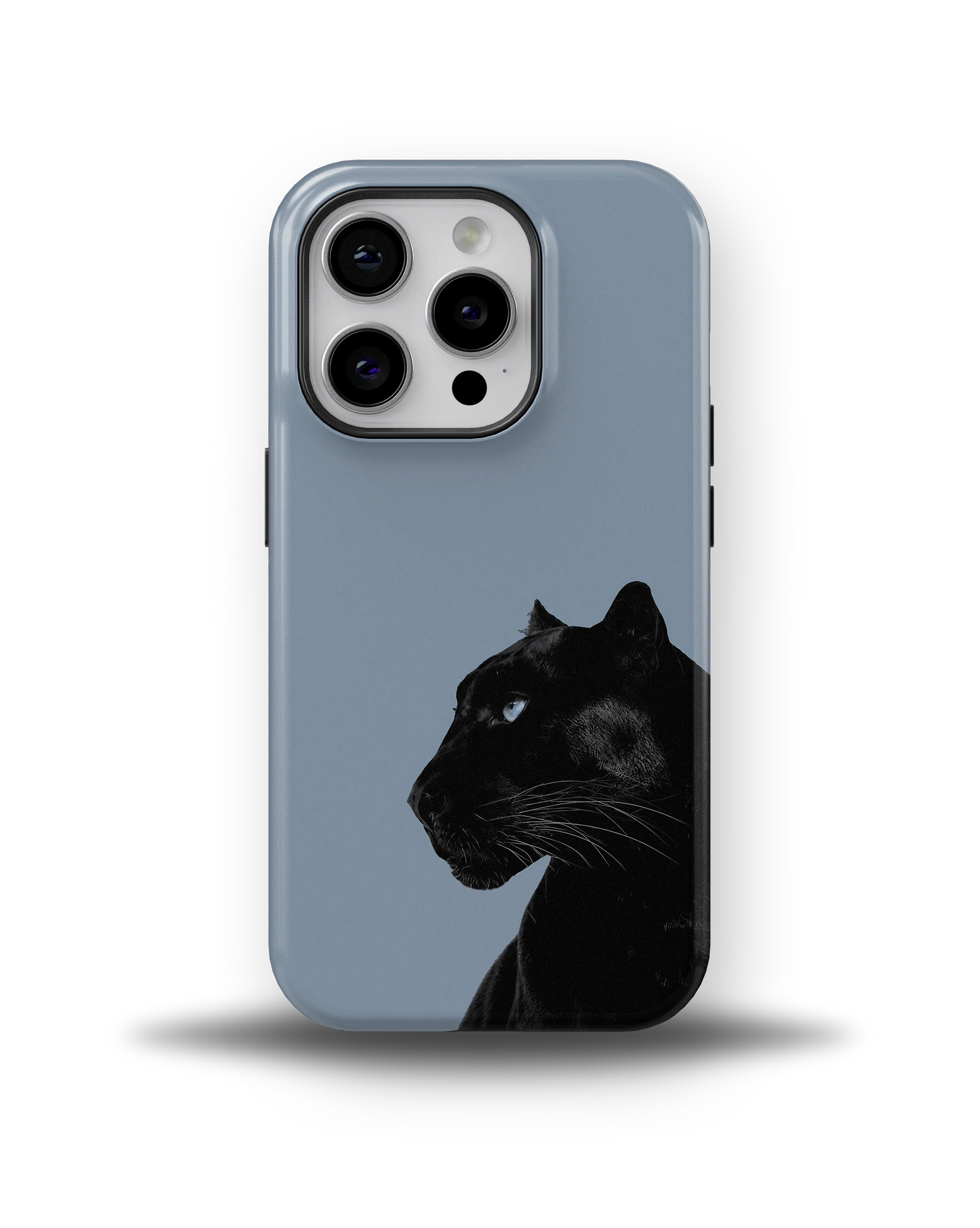 Shadow Panther — 10