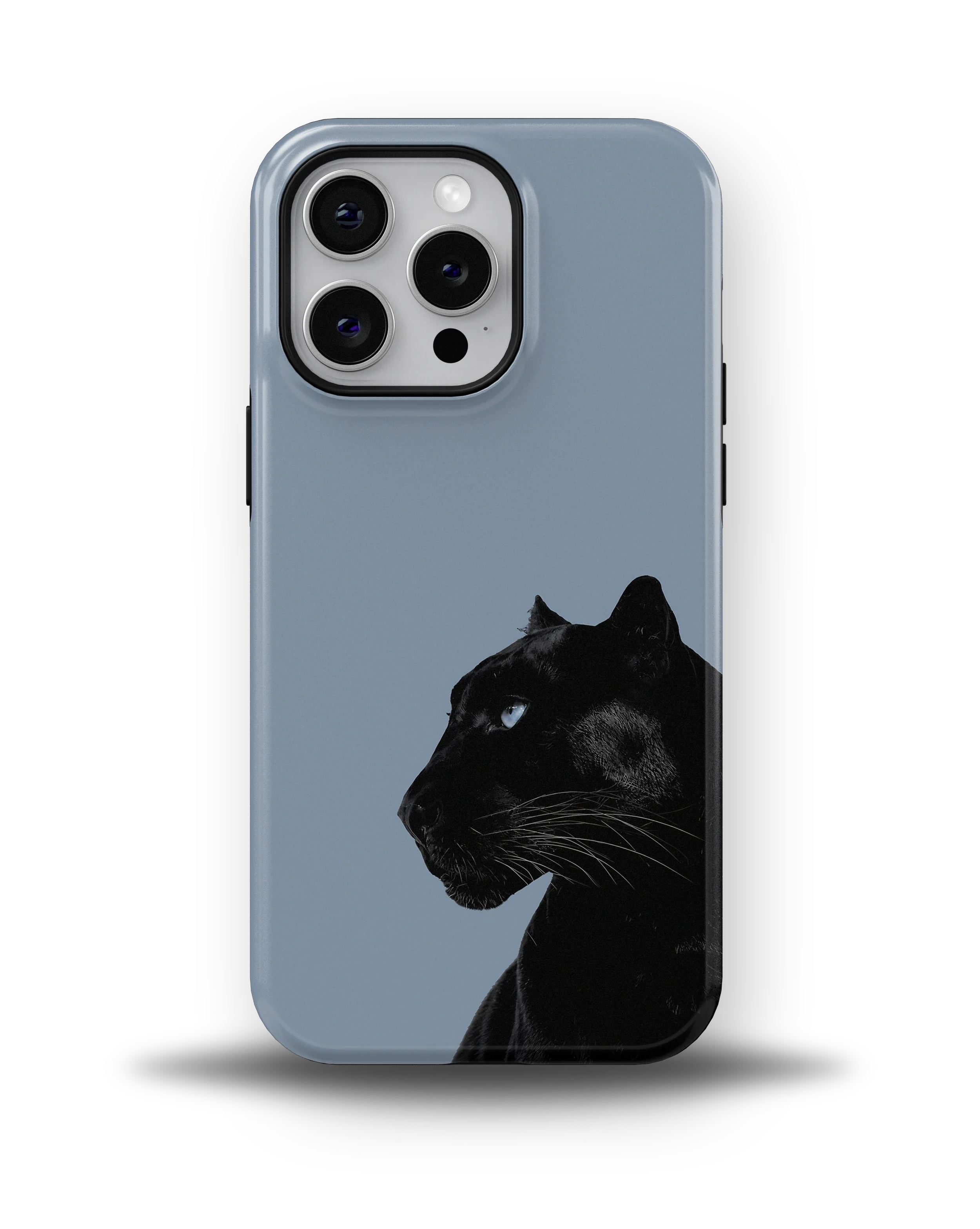 Shadow Panther — 9