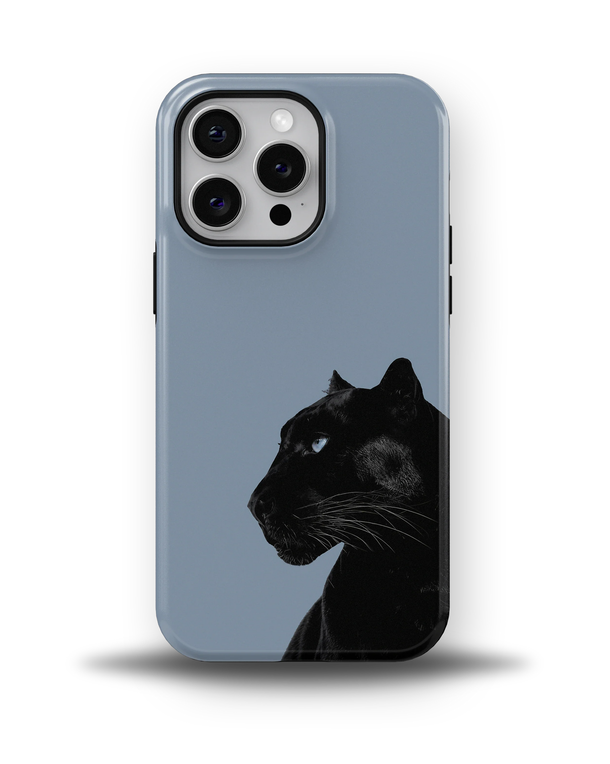 Shadow Panther — 9