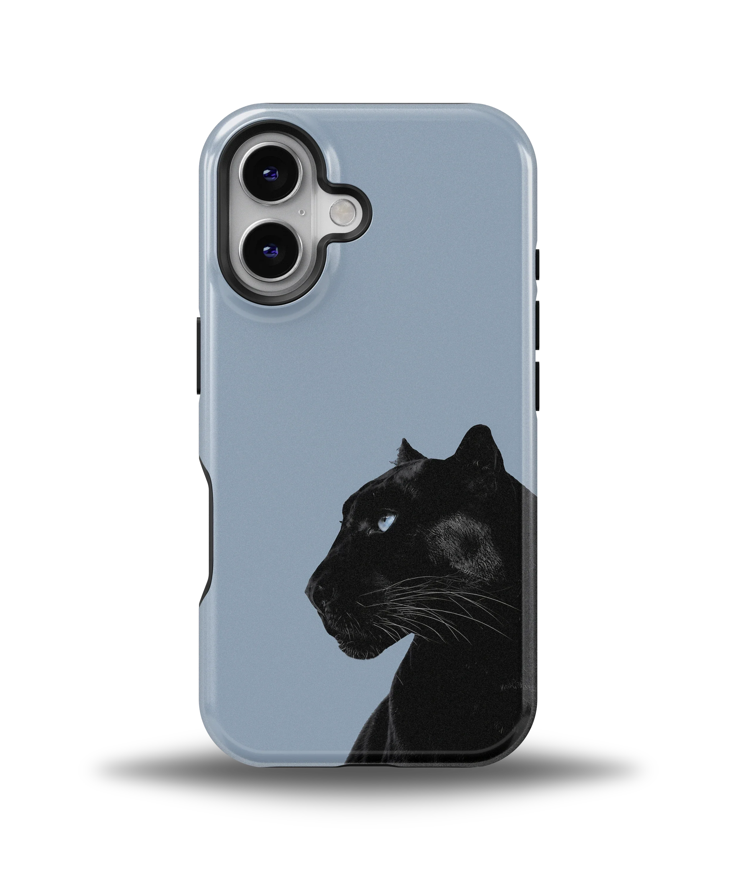 Shadow Panther — 8