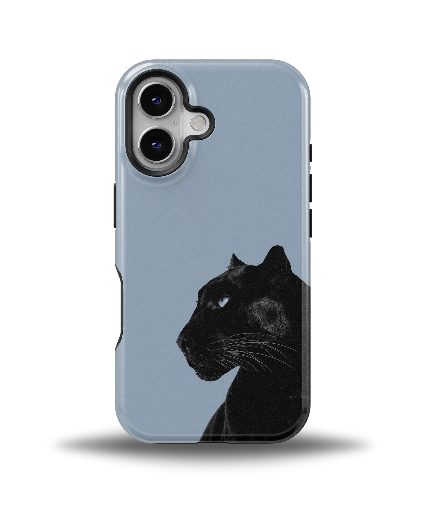 Shadow Panther — 8