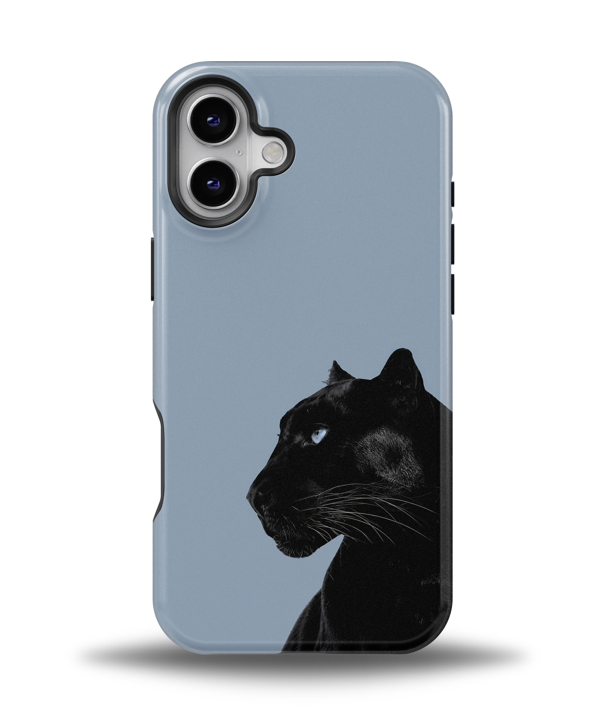 Shadow Panther — 7