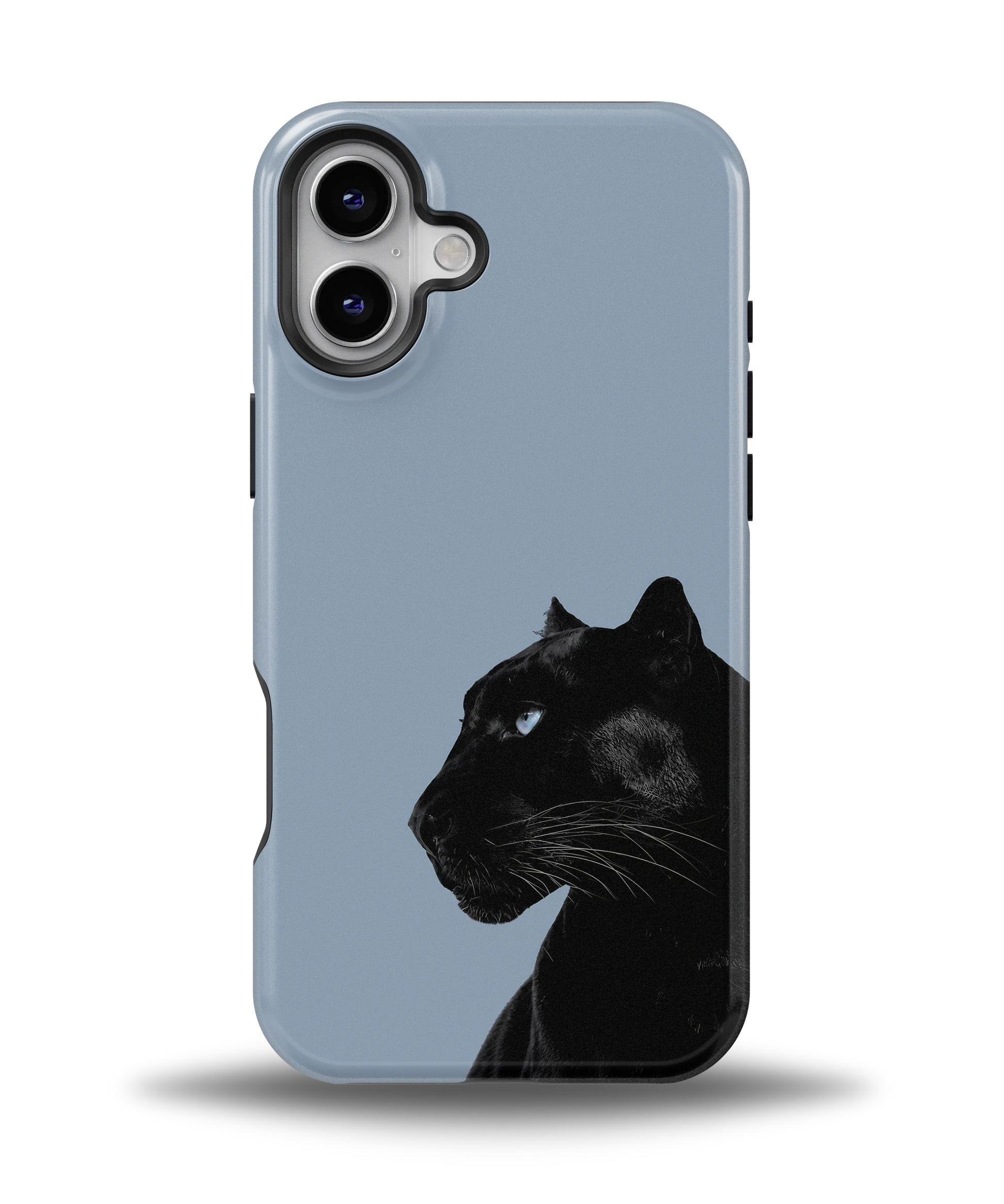 Shadow Panther — 7