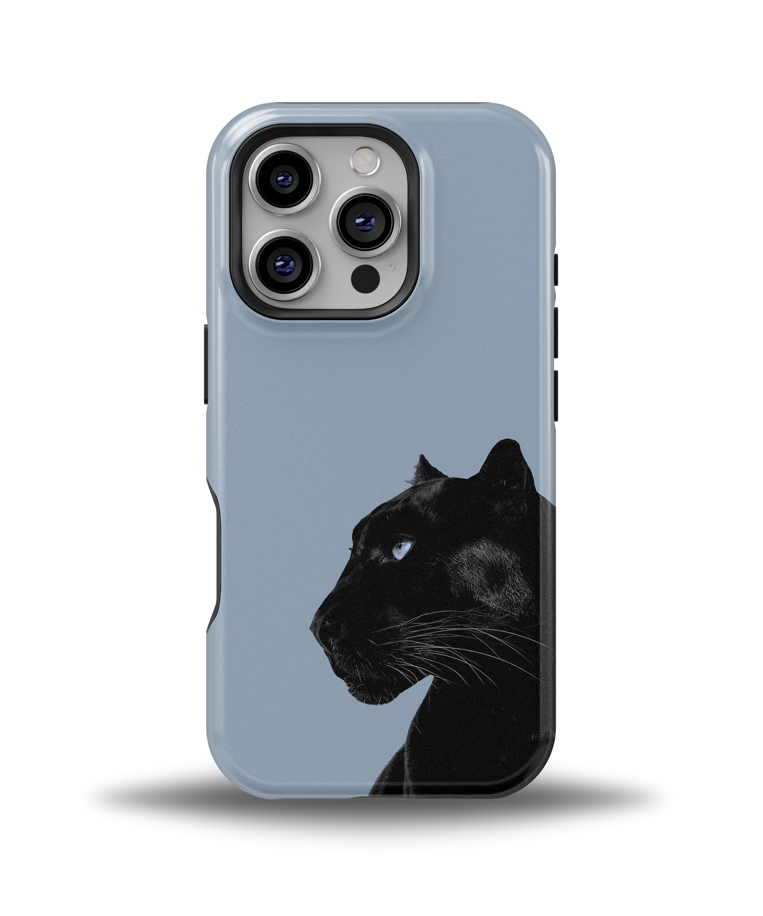 Shadow Panther — 6