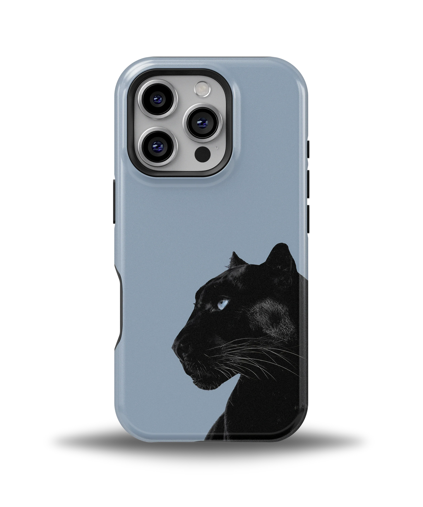 Shadow Panther — 6