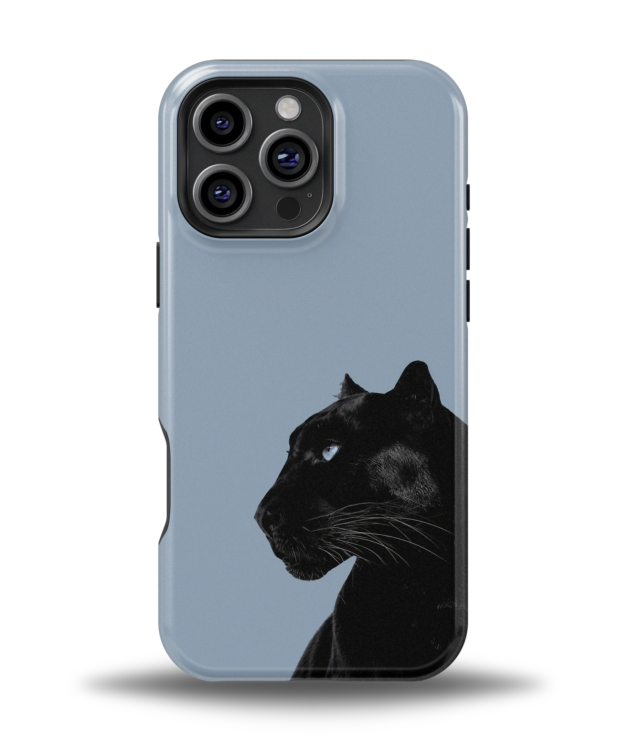 Shadow Panther — 5