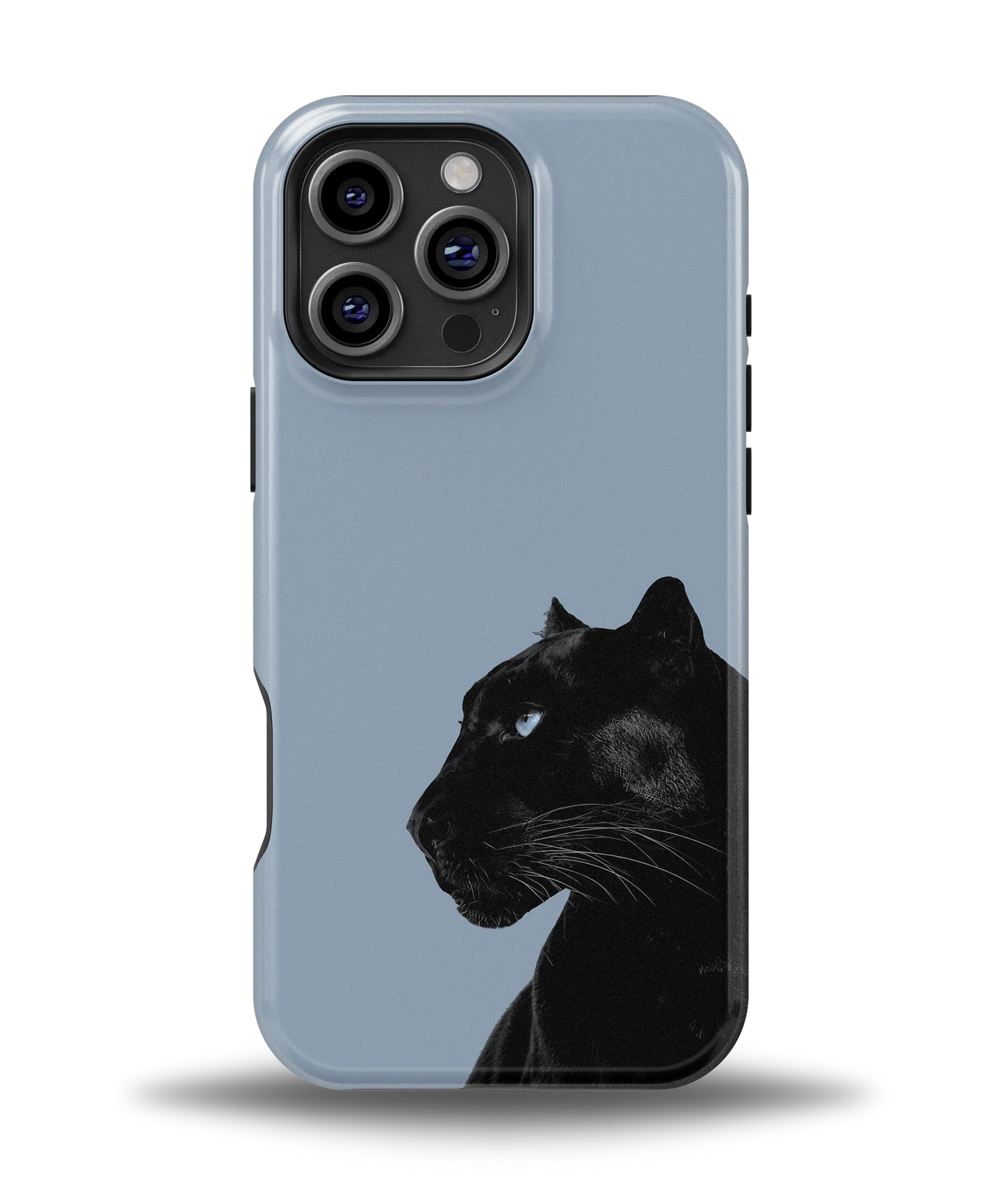 Shadow Panther — 5