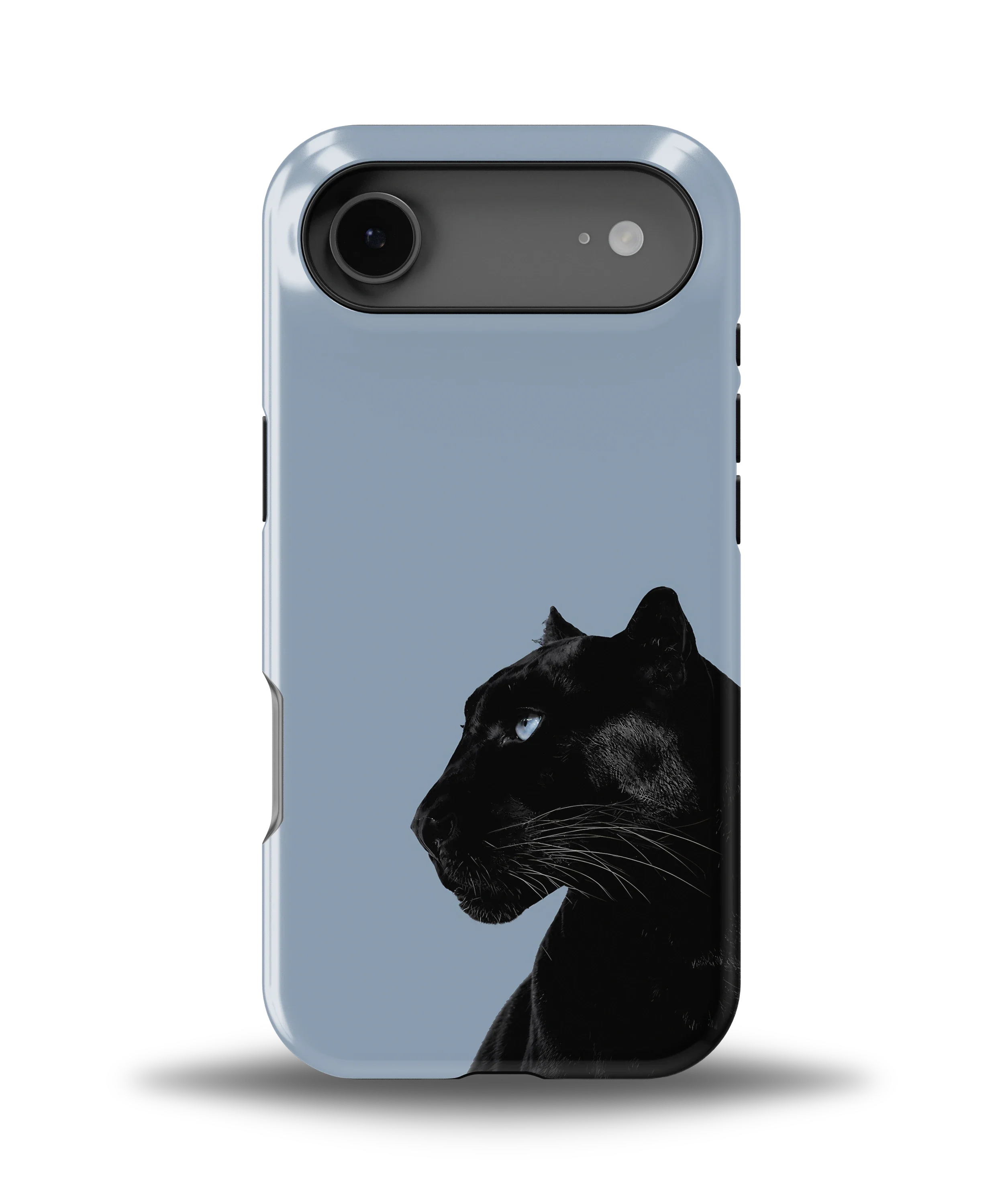Shadow Panther — 3
