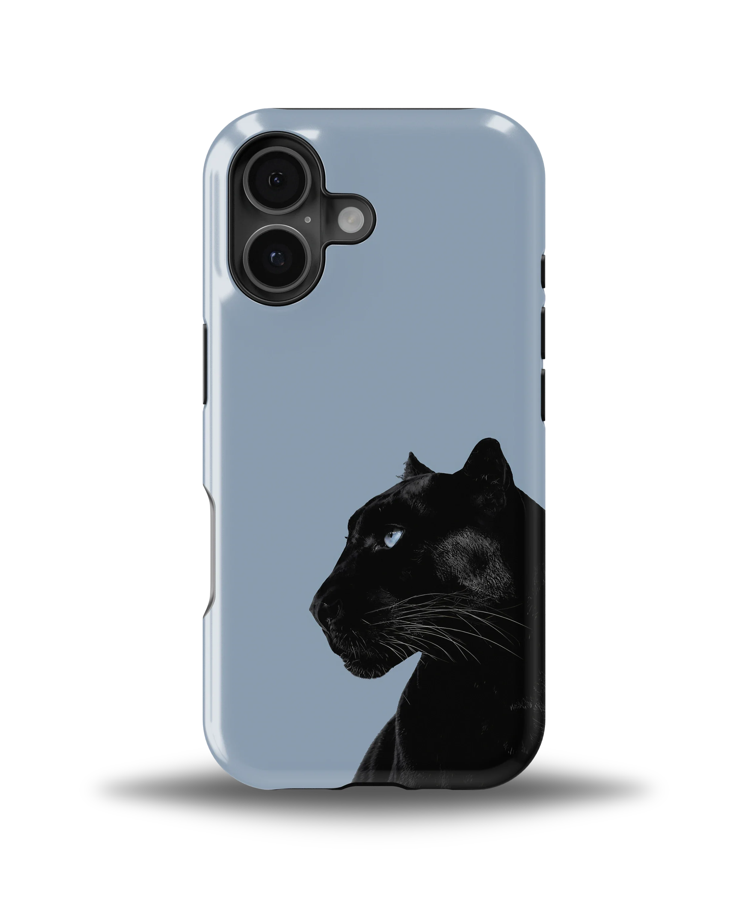 Shadow Panther — 4