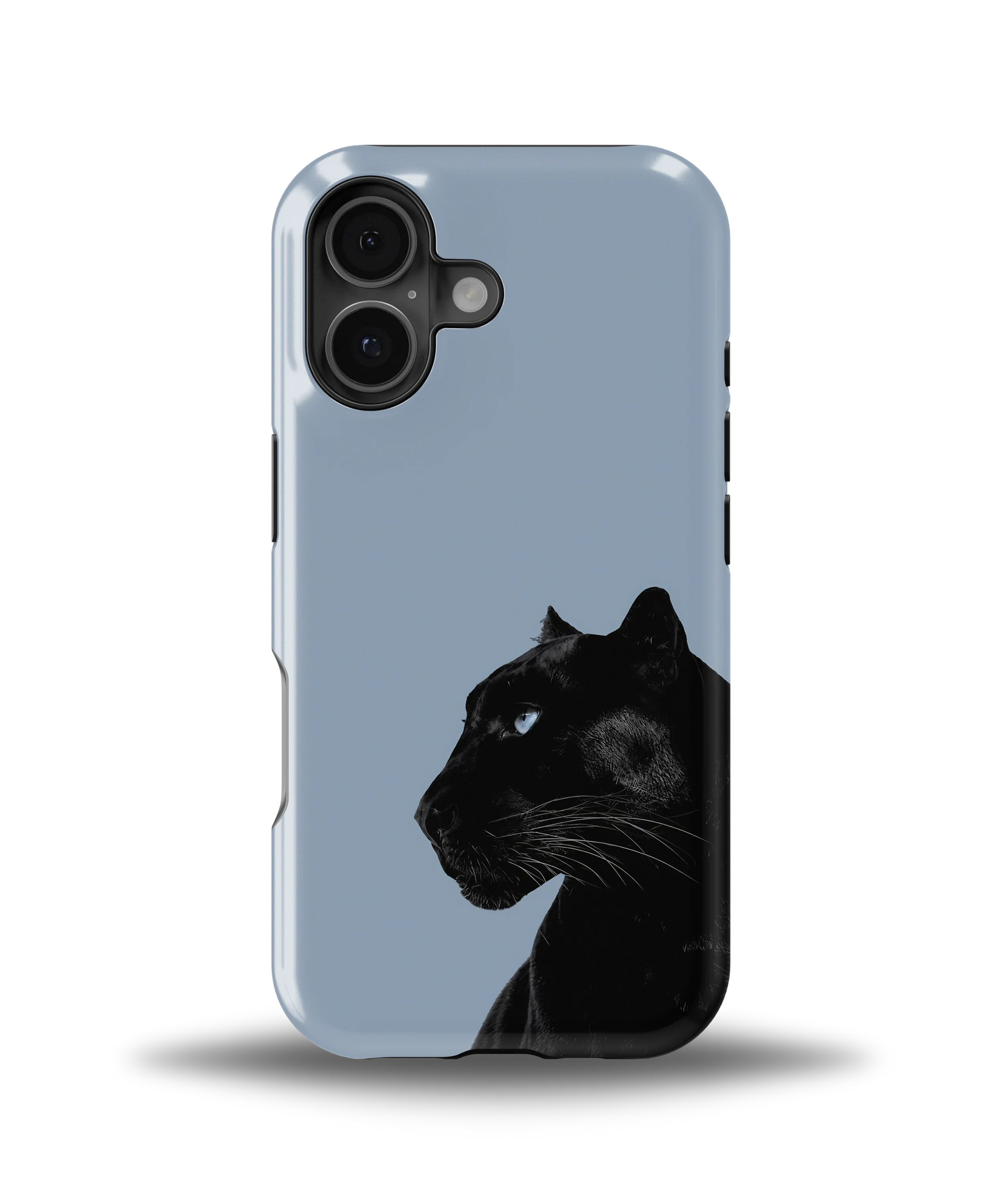 Shadow Panther — 4