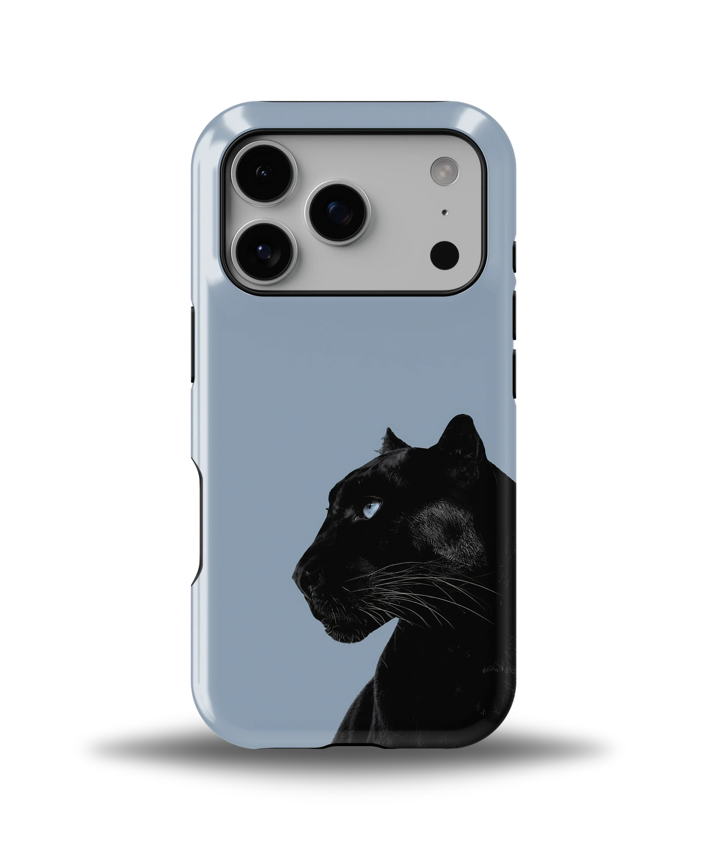 Shadow Panther — 2