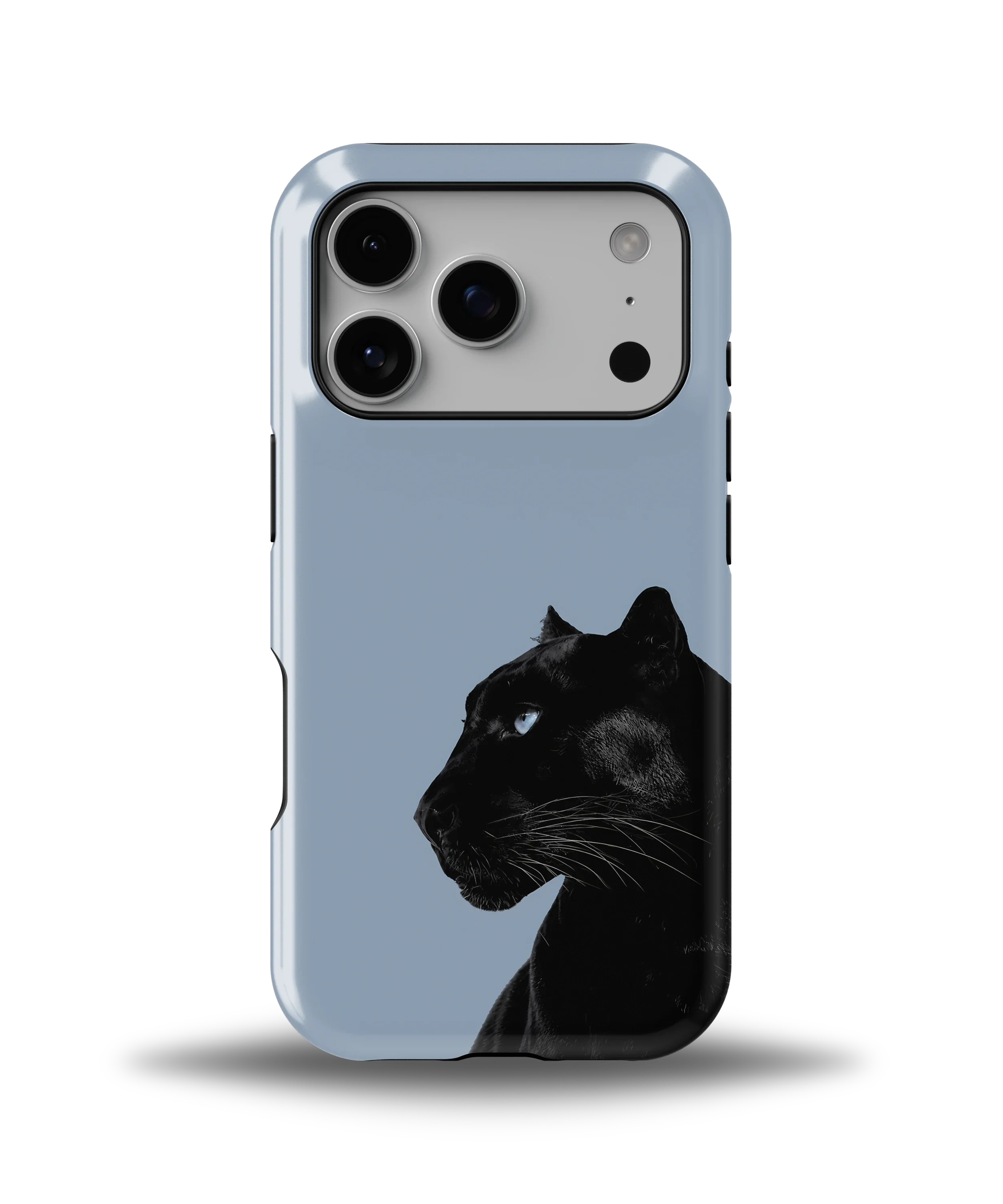 Shadow Panther — 2