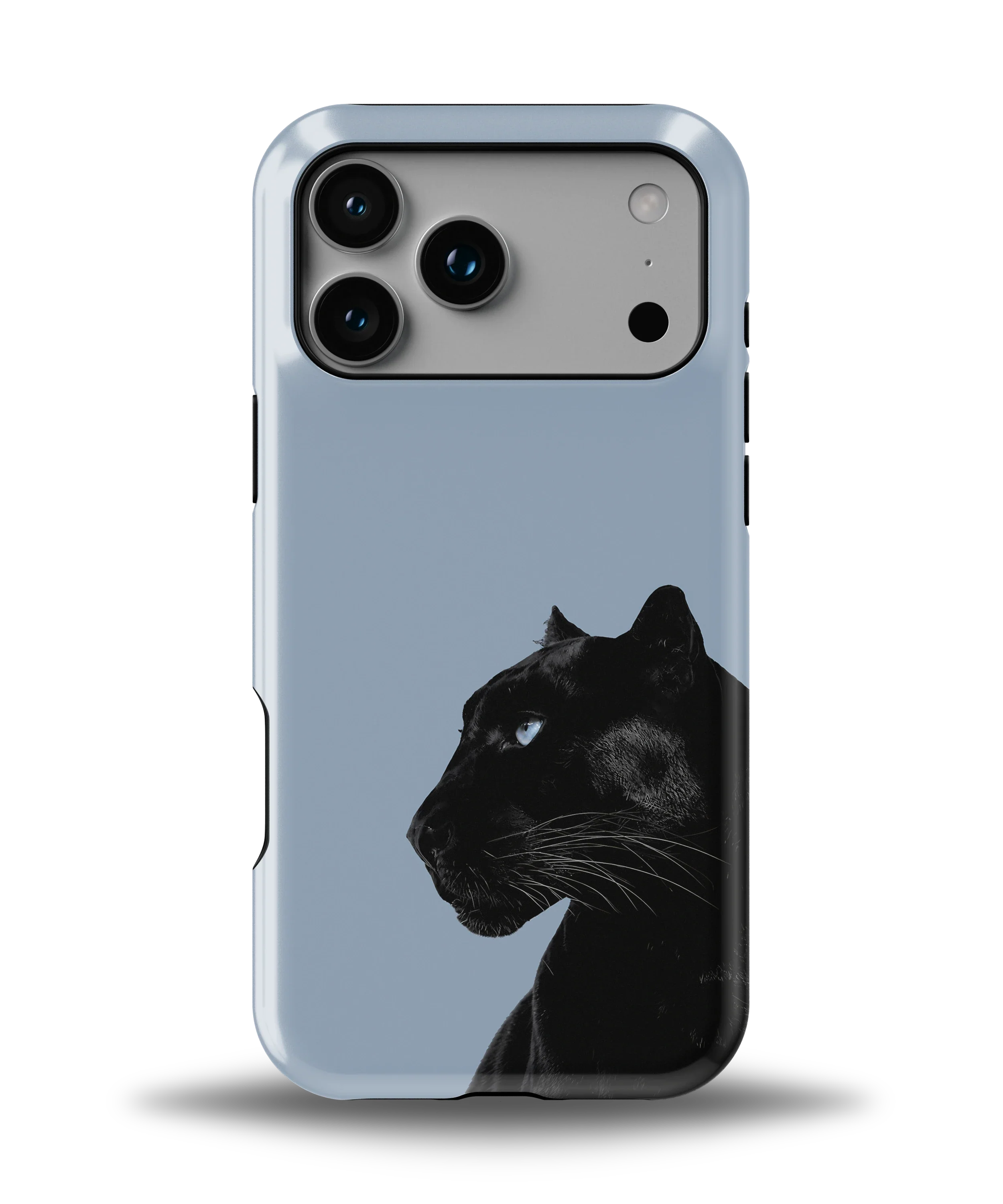 Shadow Panther — 1