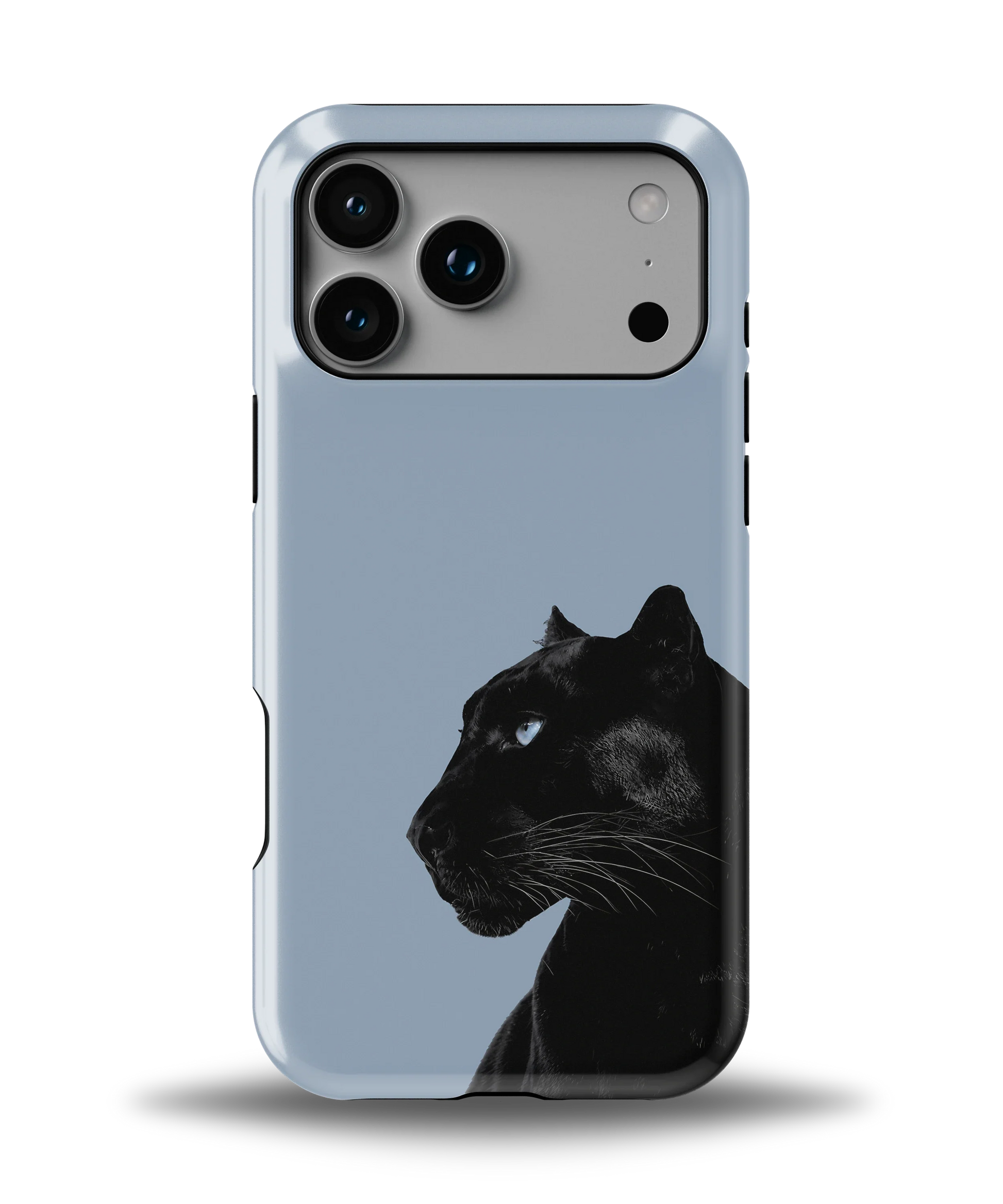 Shadow Panther — 1